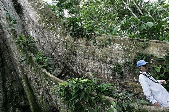Picture 10 of Beautiful photos: Seeing the most vulnerable giants of TG