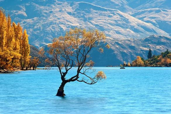 Picture 14 of Beautiful photos: The wonderful nature of New Zealand