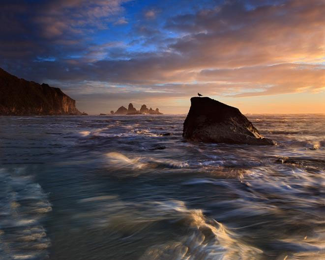 Picture 15 of Beautiful photos: The wonderful nature of New Zealand