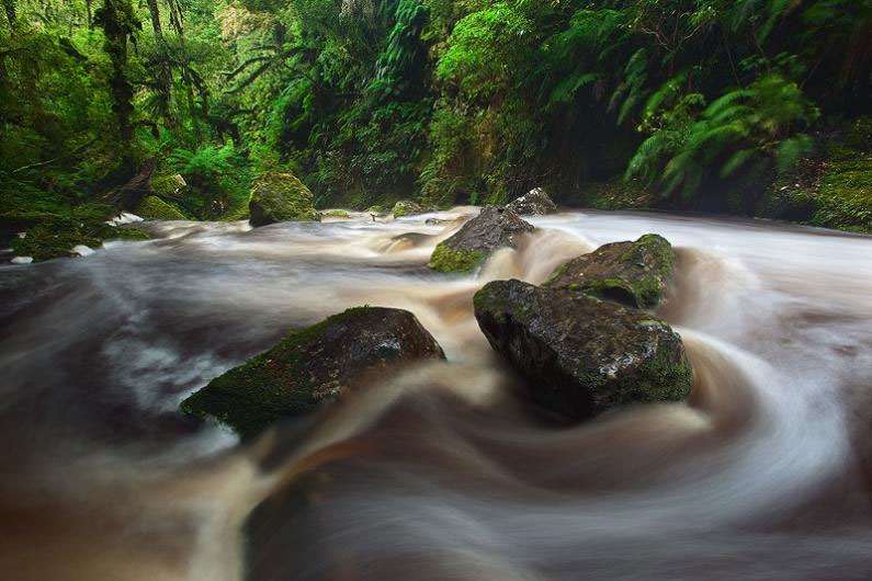 Picture 9 of Beautiful photos: The wonderful nature of New Zealand