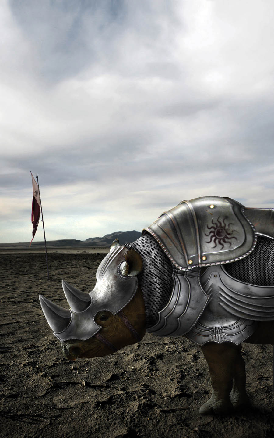 Picture 10 of Beautiful photoshop photos about animals