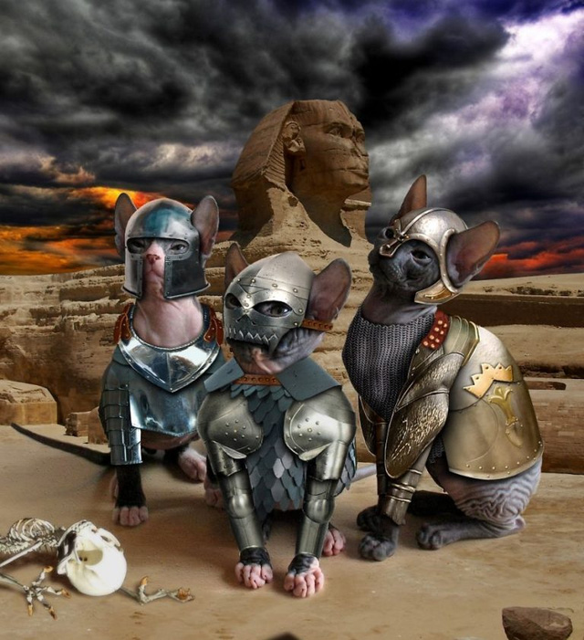 Picture 12 of Beautiful photoshop photos about animals