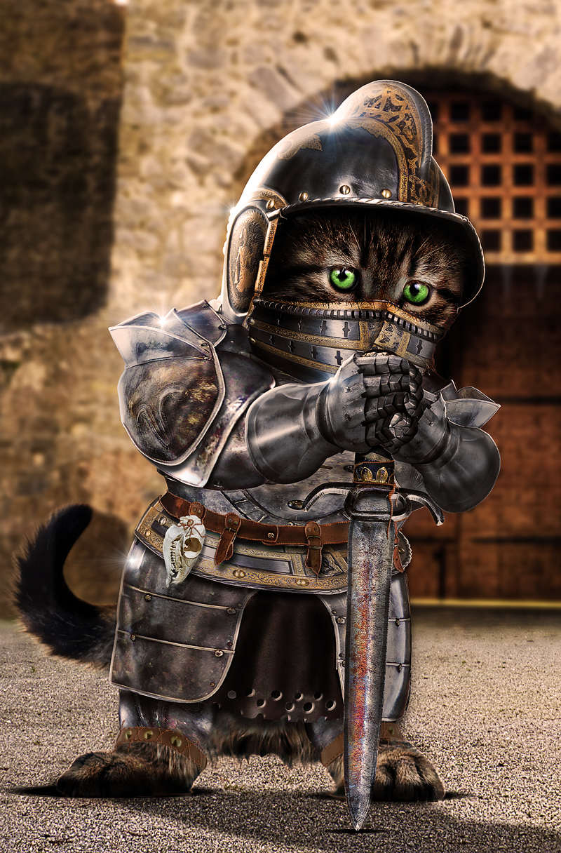 Picture 9 of Beautiful photoshop photos about animals