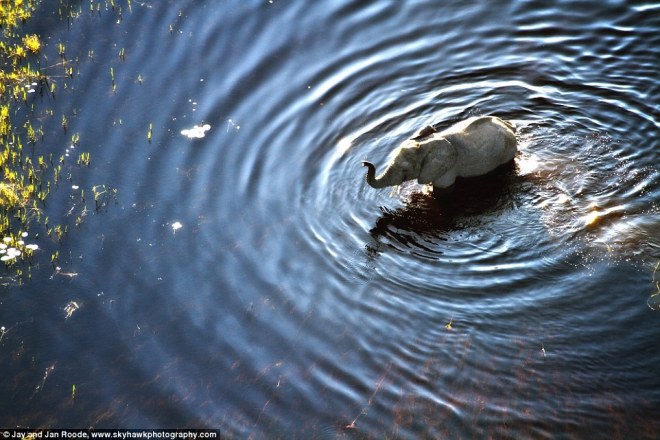 Picture 7 of Beautiful pictures of African images, surprised from above