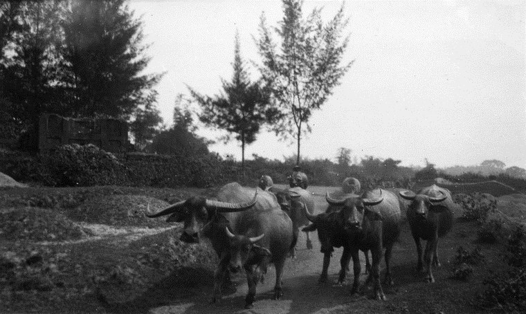 Picture 18 of Beautiful pictures of glamor about Hanoi in 1939
