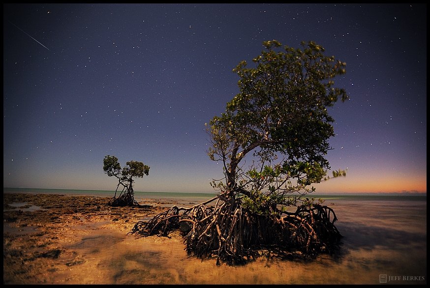 Picture 6 of Beautiful pictures sparkling meteor shower on July 29