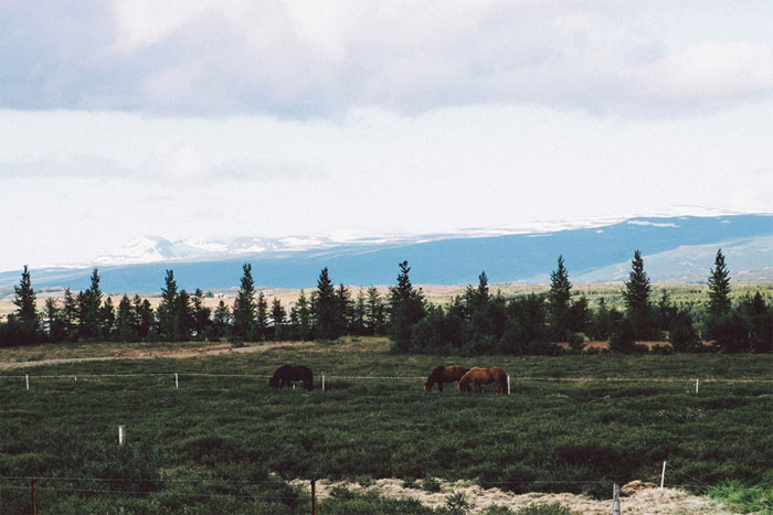 Picture 12 of Beautiful scenery of Iceland through the perspective of Vietnamese photographer