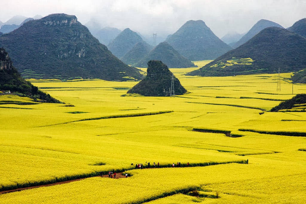 Picture 17 of Beautiful scenes come to