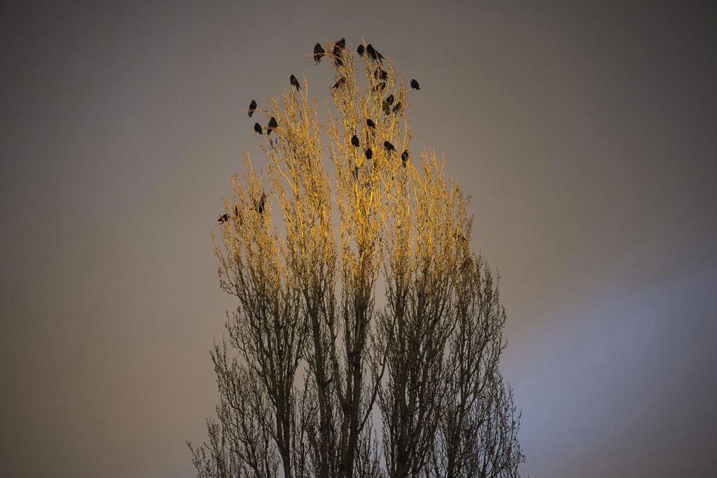 Picture 24 of Beautiful spring moment in the Northern Hemisphere
