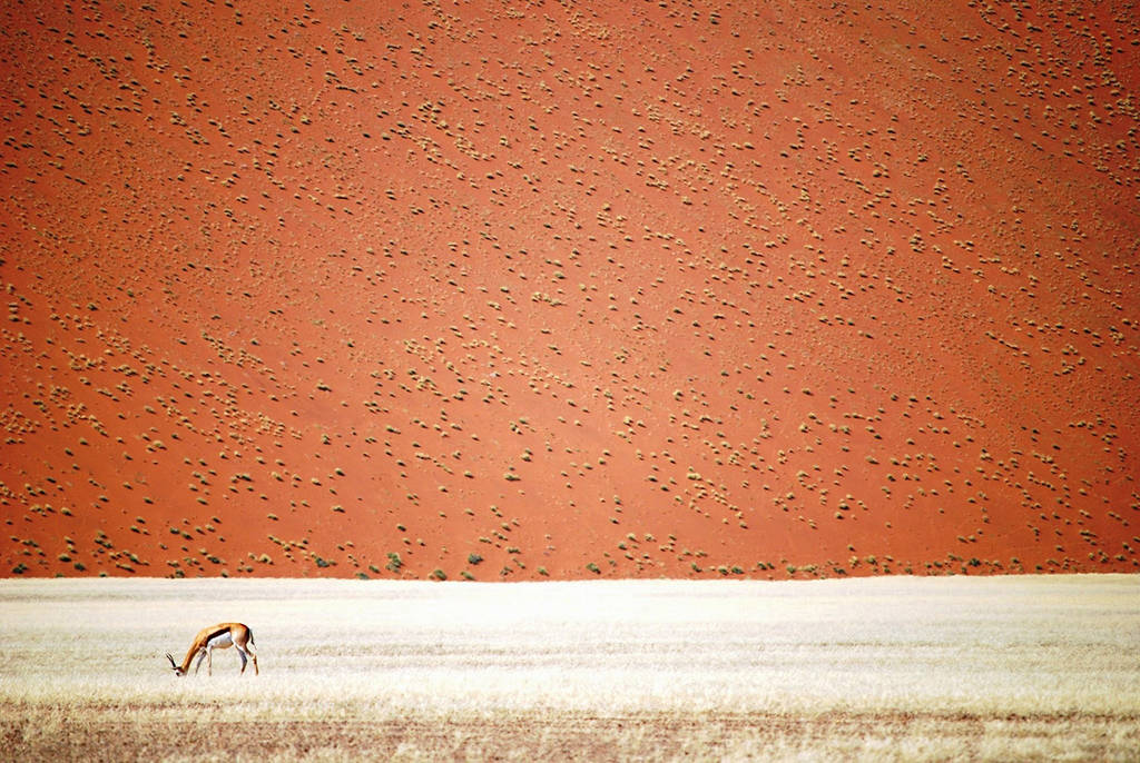 Picture 10 of Beautiful travel photos are surprised to attend National Geographic