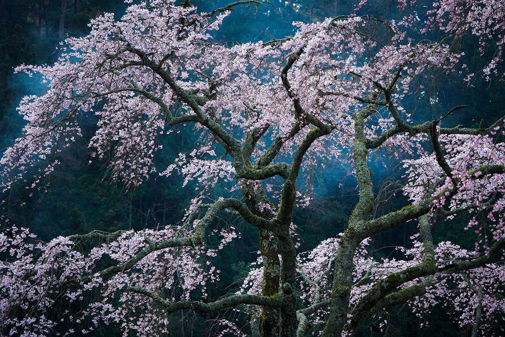 Picture 12 of Beautiful travel photos are surprised to attend National Geographic
