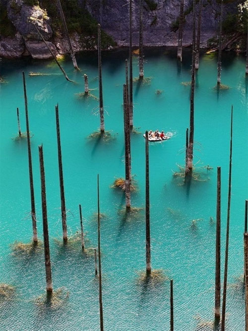 Picture 4 of Beautiful underwater forest in Kazakhstan