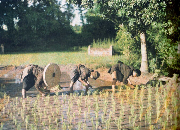 Picture 10 of Beautiful Vietnamese images of 100 years ago