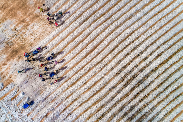 Picture 21 of Beautiful Vietnamese scenery is magnificent from above