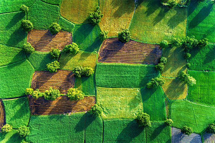 Picture 24 of Beautiful Vietnamese scenery is magnificent from above