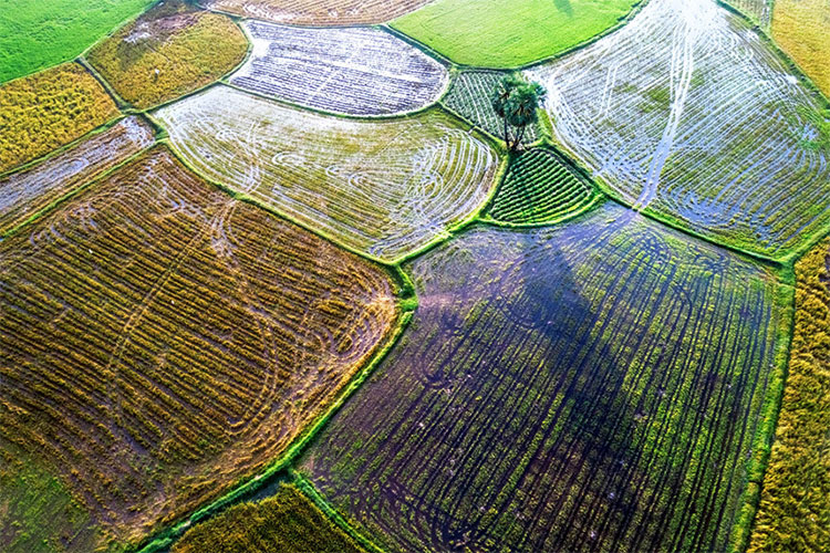 Picture 25 of Beautiful Vietnamese scenery is magnificent from above