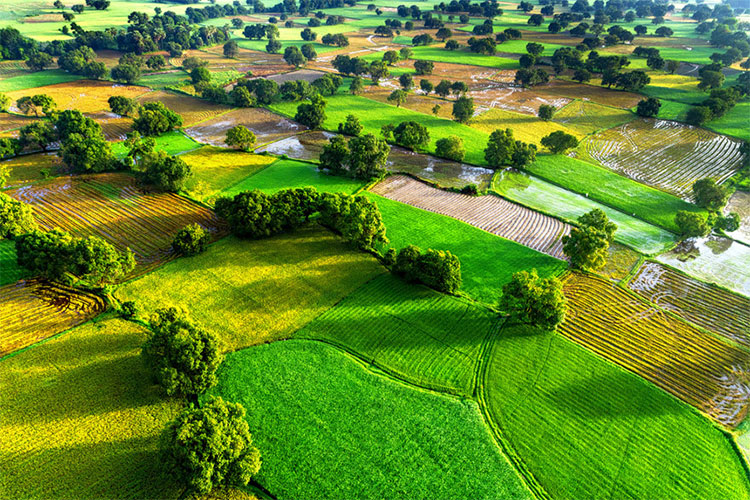 Picture 26 of Beautiful Vietnamese scenery is magnificent from above