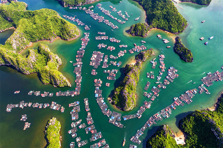 Picture 5 of Beautiful Vietnamese scenery is magnificent from above
