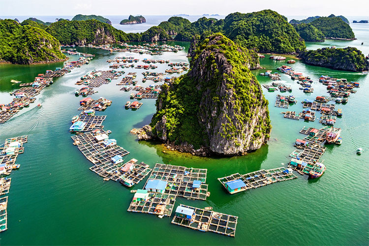 Picture 6 of Beautiful Vietnamese scenery is magnificent from above