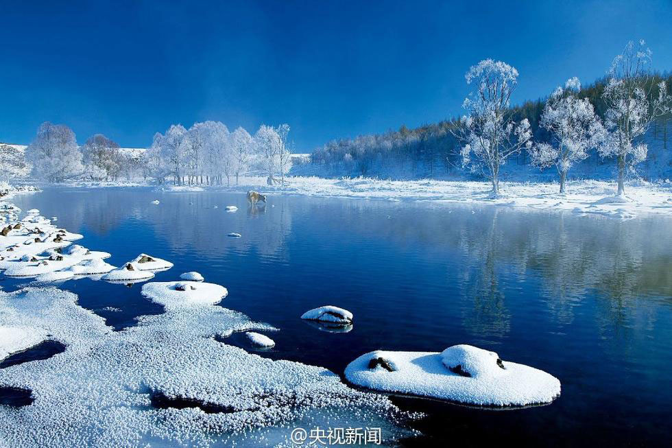 Picture 12 of Beautiful white snow cover at scenic spots in China