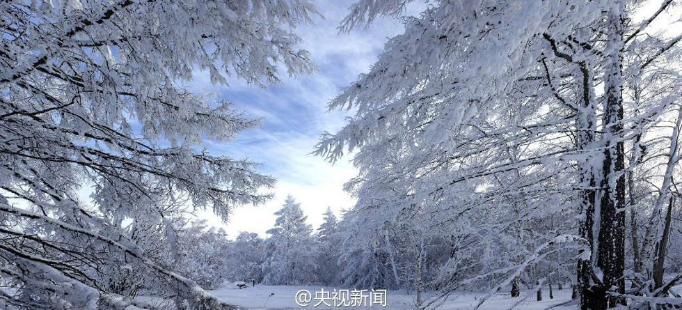 Picture 13 of Beautiful white snow cover at scenic spots in China