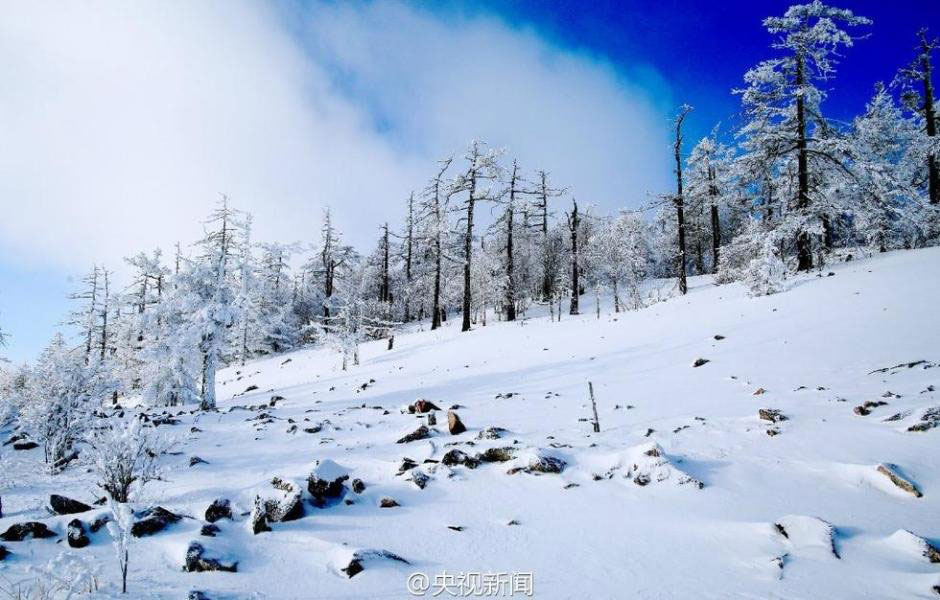 Picture 14 of Beautiful white snow cover at scenic spots in China