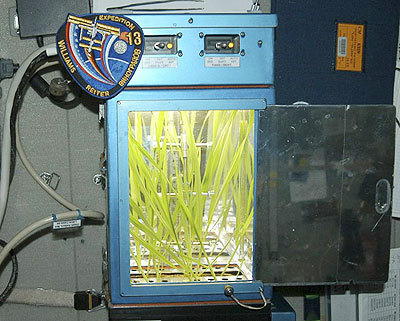 Picture 1 of Beer production on the space station