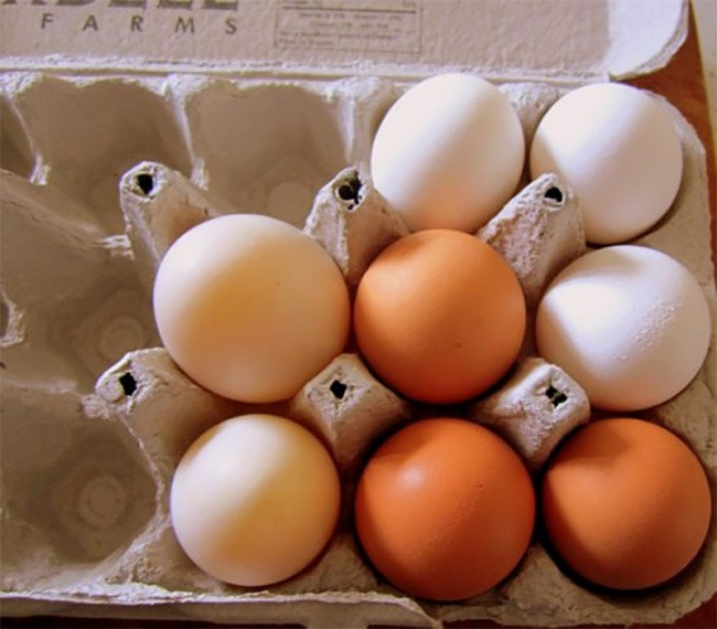 Picture 4 of Before eating eggs, pay attention to the color of the egg yolk