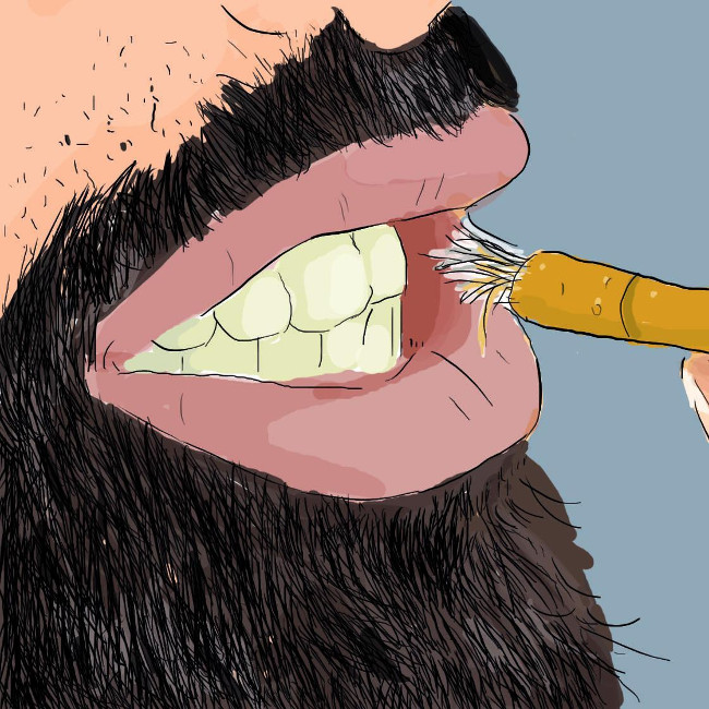 Picture 3 of Before having a toothbrush, how did the old people clean their teeth?