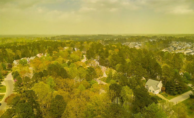 Picture 2 of Behind the strange yellow color in this photo, many people shudder