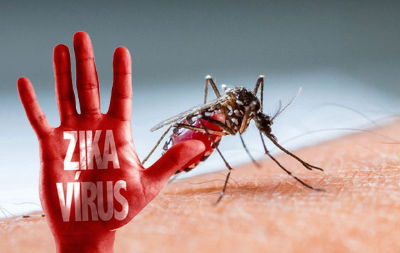 Picture 1 of Belgium recorded 32 cases of Zika virus infection
