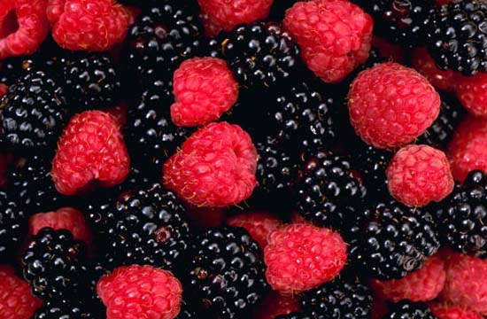 Picture 1 of Berries help reduce the risk of Parkinson's