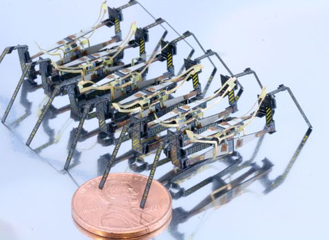 Picture 7 of Best micro photos in 2010