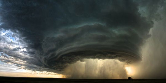 Picture 4 of Best photo of National Geographic in 2010