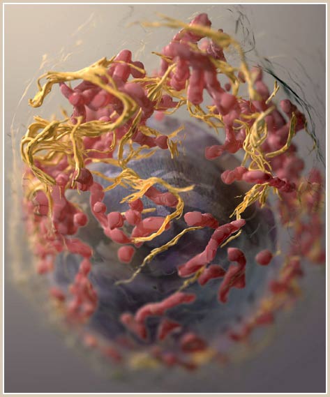 Picture 6 of Best science photo 2008