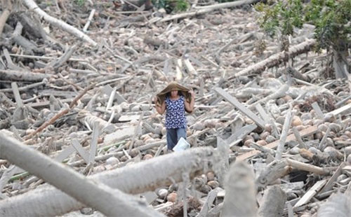 Picture 7 of Big storms destroy the world