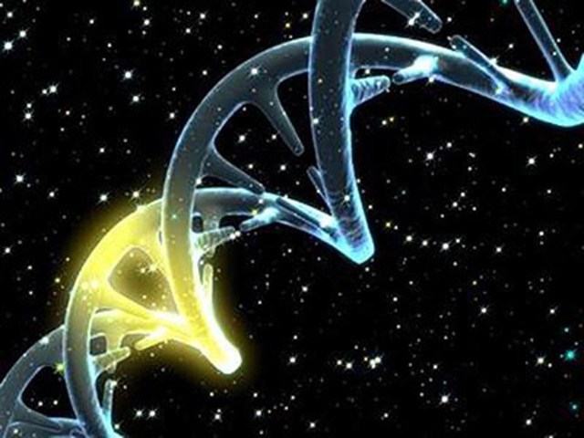 Picture 1 of Bill Gates, Google supports DNA editing research to cure genetic diseases