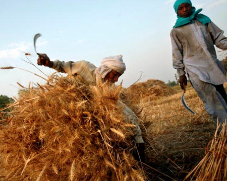 Picture 1 of Billions of people will be hungry because the earth heats up