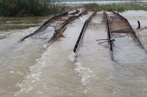 Picture 6 of Binh Dinh: 2 more people died from floods