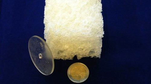 Picture 1 of Biodegradable plastics help reduce environmental pollution