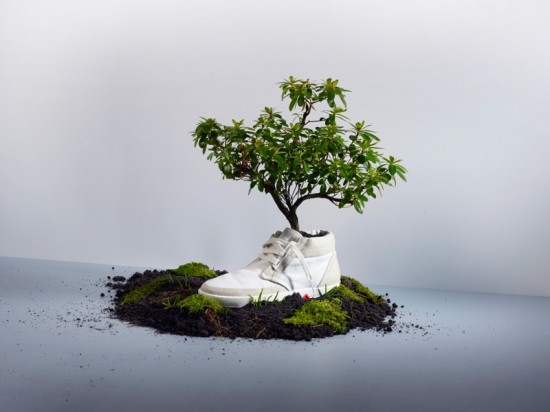 Picture 1 of Biodegradable shoes
