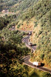 Biodiversity conservation in Central Truong Son images 1