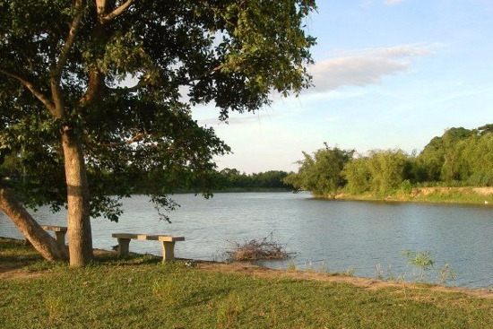 Picture 1 of Biodiversity conservation, wetland of O Lau estuary