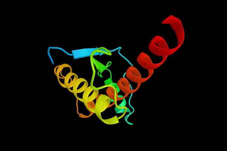 Picture 1 of 'Biological antivirus software' could prevent the next global pandemic