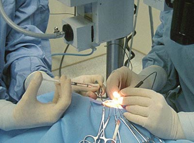 Picture 2 of Biological eyes bring light to the blind
