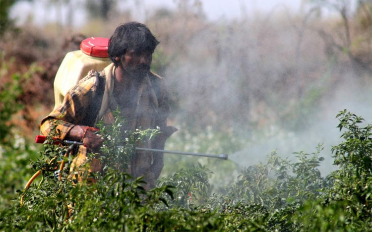 Picture 1 of Biological gel helps prevent the danger of exposure to pesticides