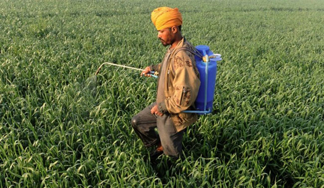 Picture 3 of Biological gel helps prevent the danger of exposure to pesticides