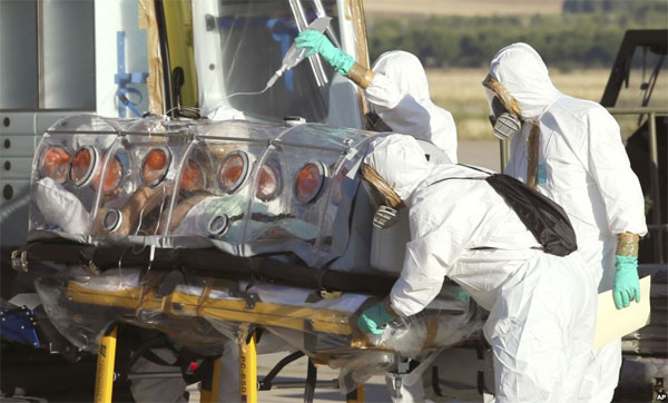 Picture 2 of Biological history and risk of Ebola
