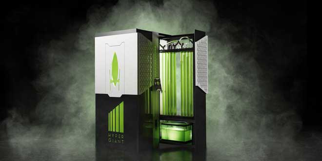 Picture 1 of Biological reactors made from algae can convert carbon as well as 4,000 m2 of forest