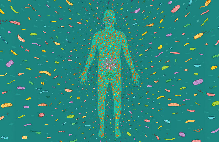 Picture 2 of Bio-nano robot will help end the antibiotic resistance crisis
